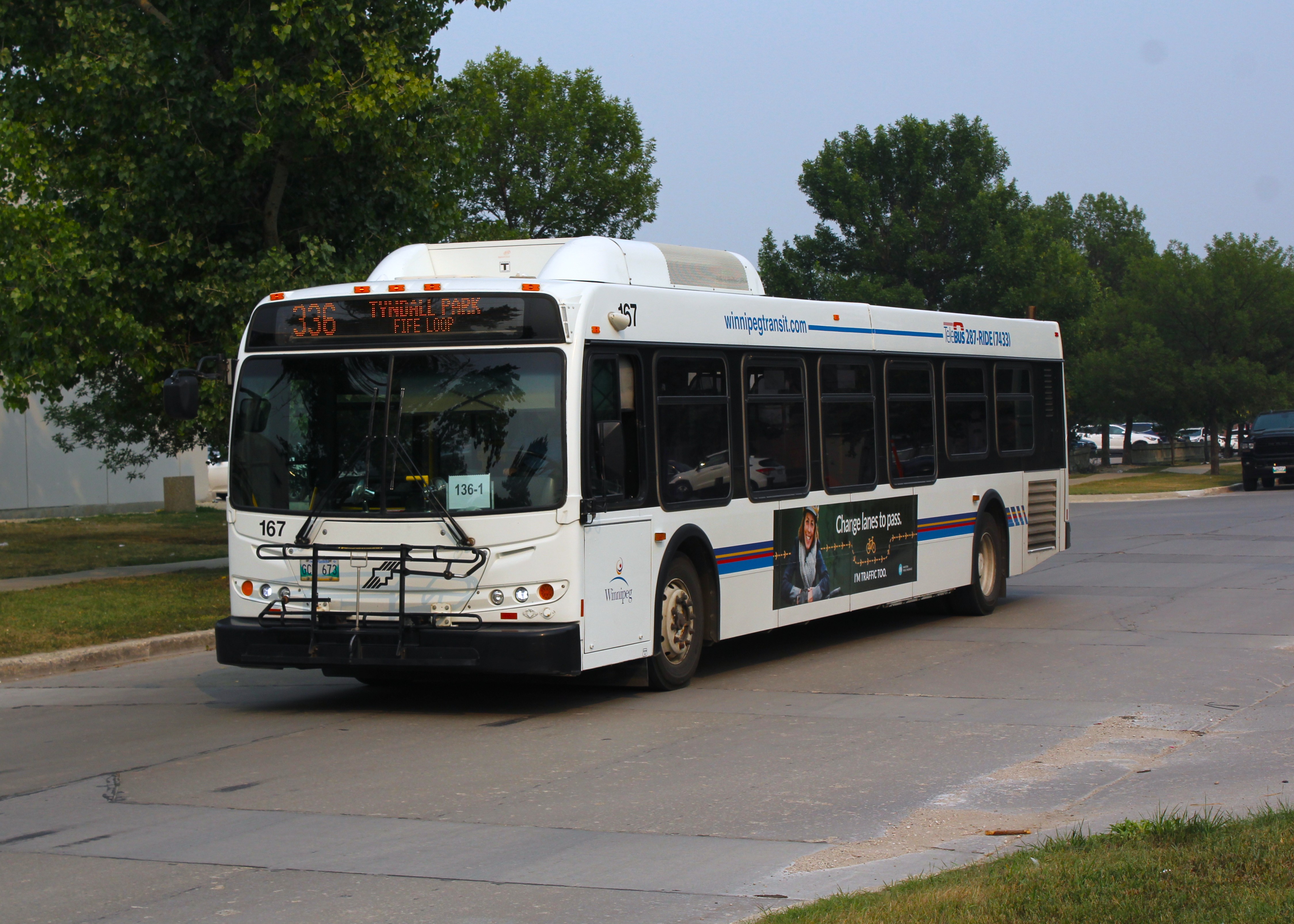 History of Bus 167 | WTLive