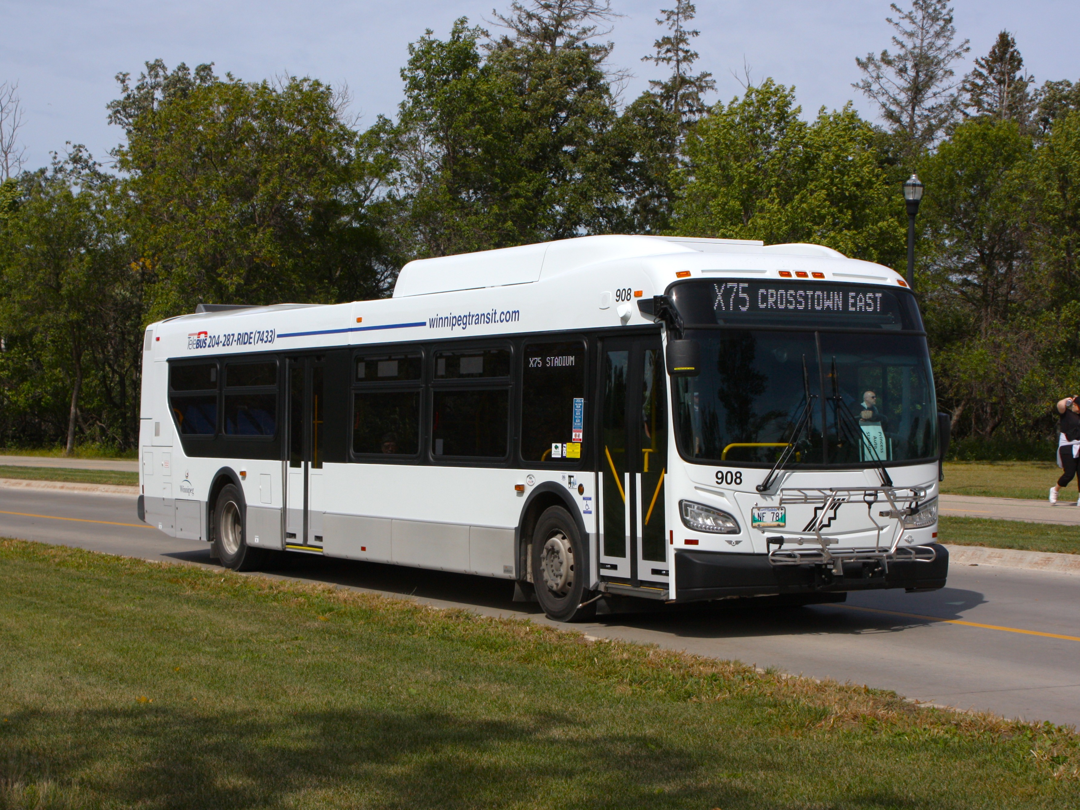 History of Bus 908 | WTLive